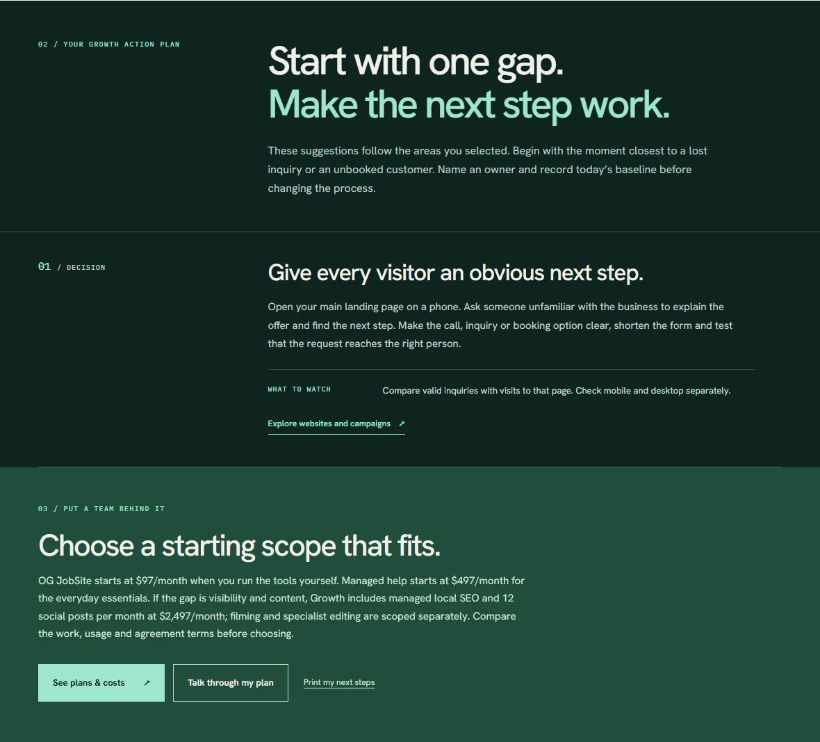 Actual Growth Check action plan showing practical advice for a selected website decision gap